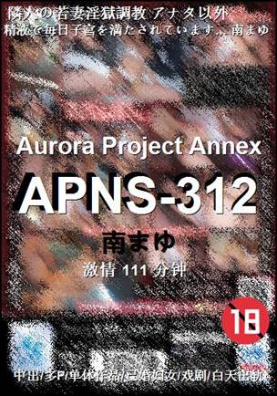 APNS-312