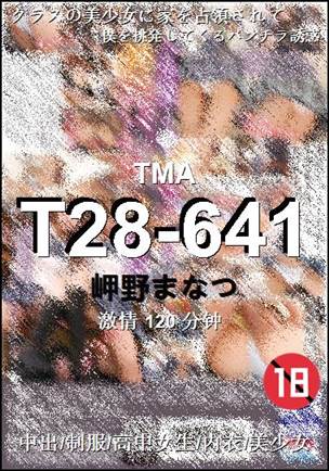 T28-641