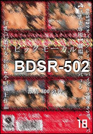 番号BDSR-502种子