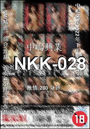 番号NKK-028种子
