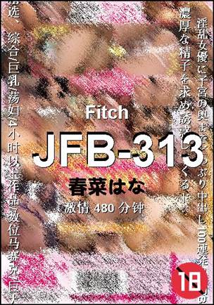 ����JFB-313����