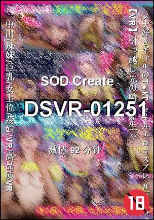 番号DSVR-01251种子