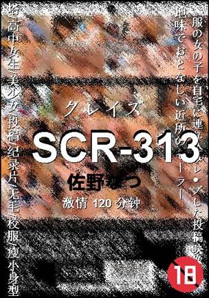 SCR-313