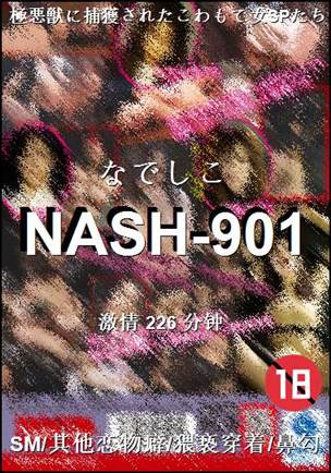 番号NASH-901种子