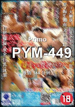 番号PYM-449种子