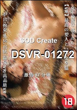 番号DSVR-01272种子