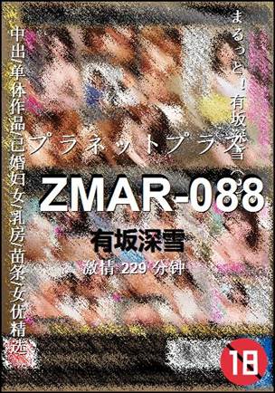 ZMAR-088