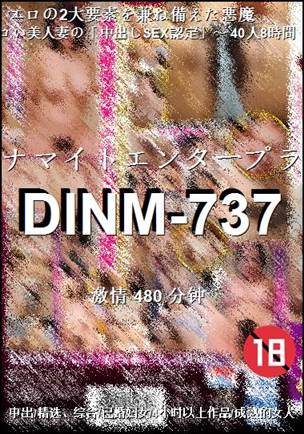 番号DINM-737种子