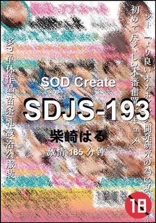 SDJS-193