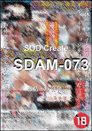 番号SDAM-073种子