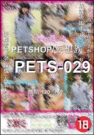 番号PETS-029种子