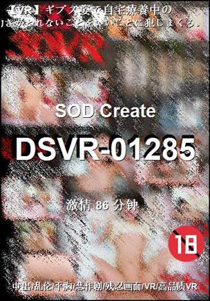 番号DSVR-01285种子