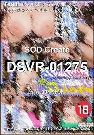 番号DSVR-01275种子