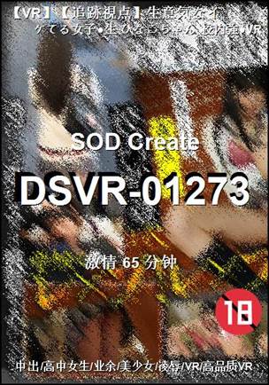 番号DSVR-01273种子