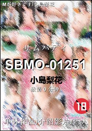 SBMO-01251