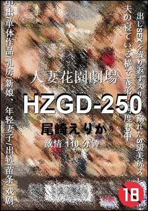 HZGD-250