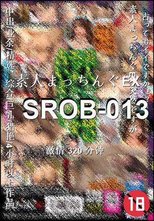 番号SROB-013种子