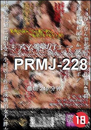番号PRMJ-228种子