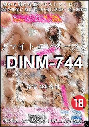 番号DINM-744种子