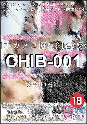 番号CHIB-001种子