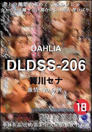 DLDSS-206