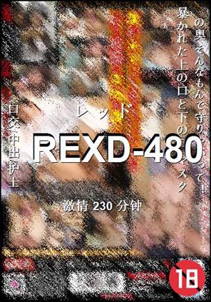 番号REXD-480种子