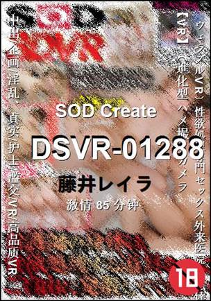 DSVR-01288