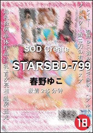 番号STARSBD-799种子