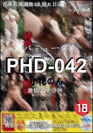 PHD-042