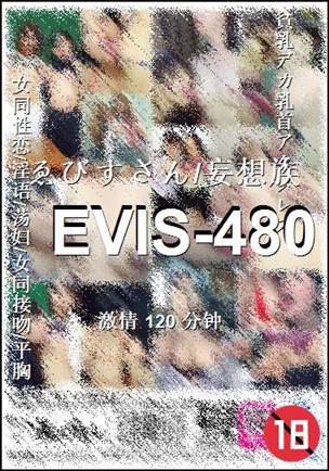 番号EVIS-480种子