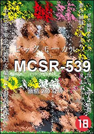 番号MCSR-539种子