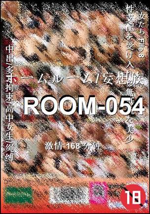 番号ROOM-054种子