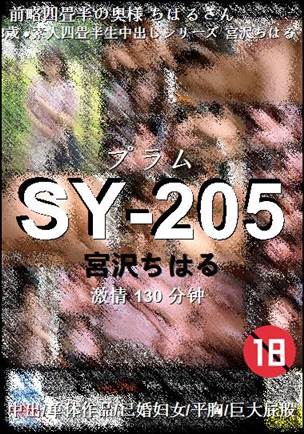 SY-205