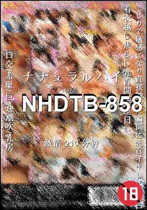 番号NHDTB-858种子