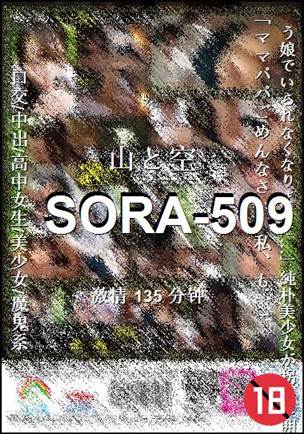 番号SORA-509种子