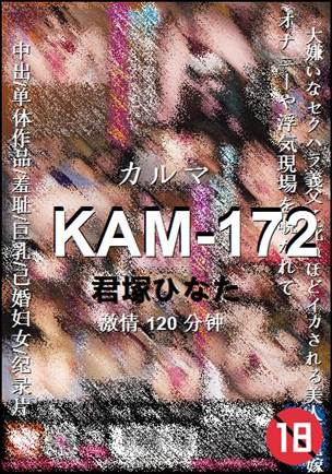 KAM-172