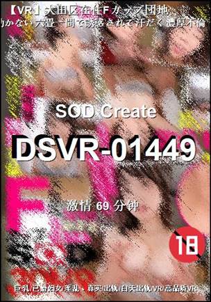 番号DSVR-01449种子