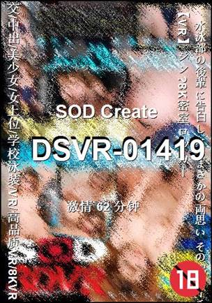 番号DSVR-01419种子