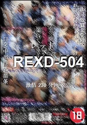 番号REXD-504种子