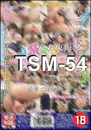 番号TSM-54种子