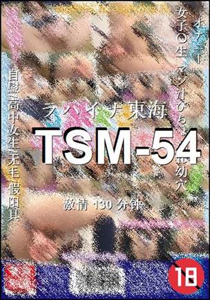 TSM-54