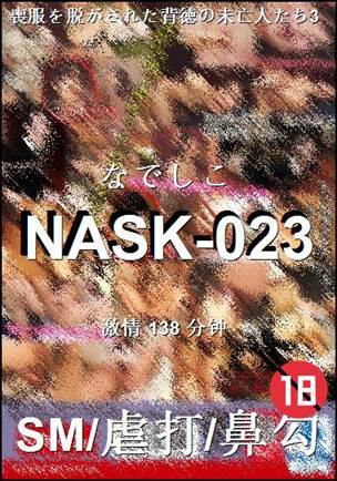 番号NASK-023种子