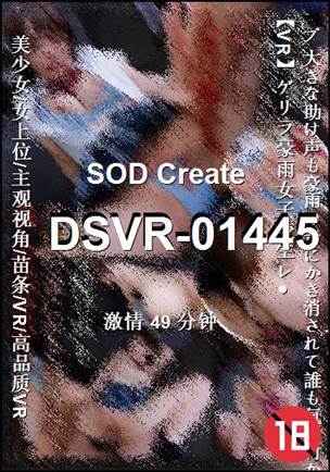 番号DSVR-01445种子
