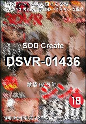 番号DSVR-01436种子