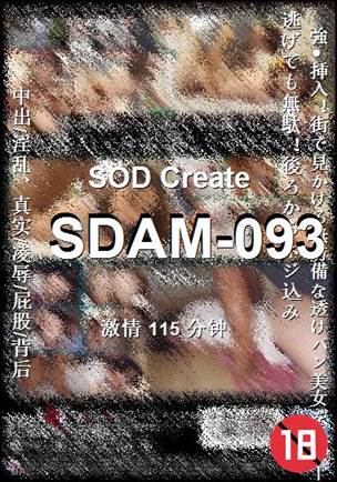 番号SDAM-093种子
