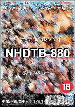 番号NHDTB-880种子
