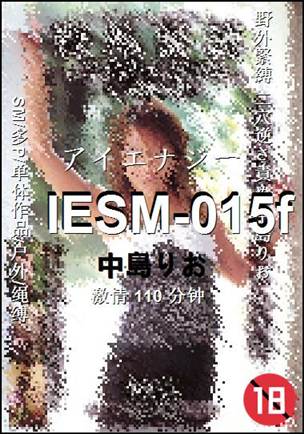 IESM-015f