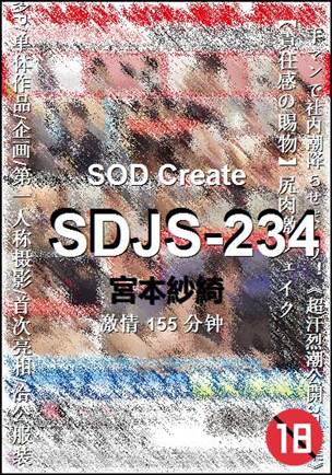 SDJS-234