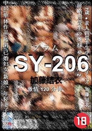 SY-206