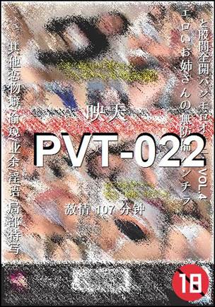 番号PVT-022种子